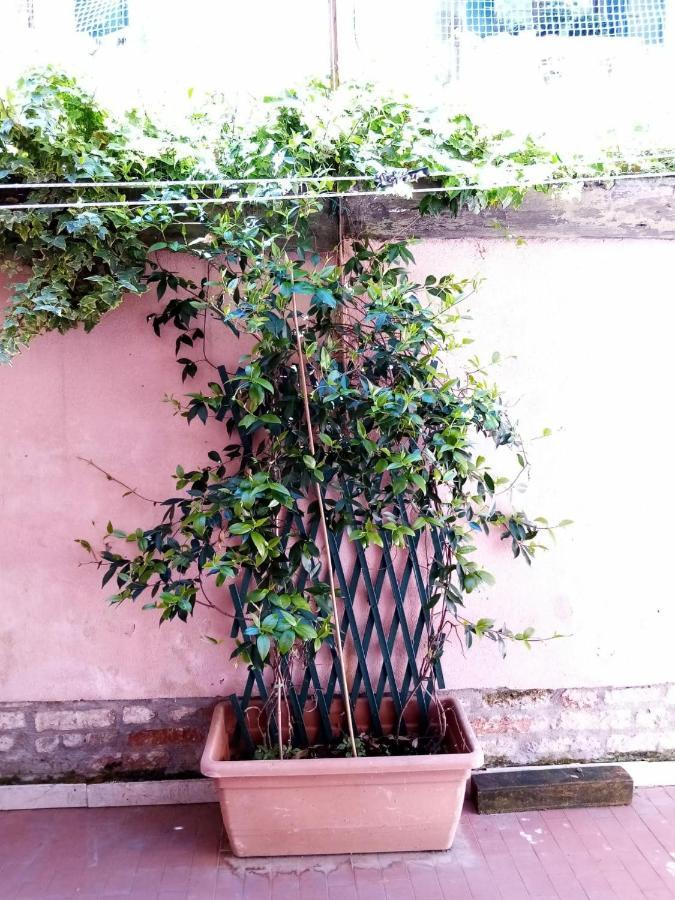 Apartamento Biennale Flat Venecia Exterior foto